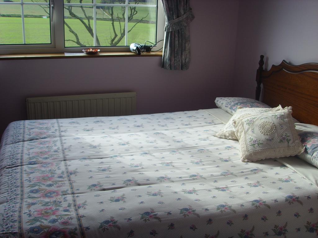 Springfield House B&B Клонакилти Стая снимка