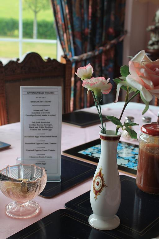 Springfield House B&B Клонакилти Екстериор снимка